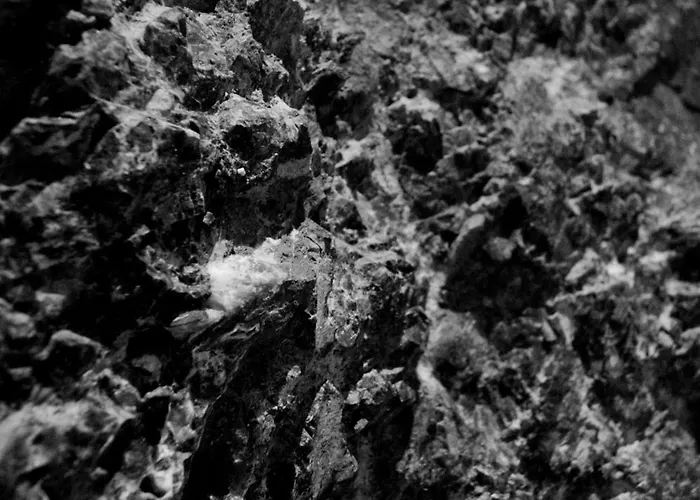 Malvazios Faragnanti #3